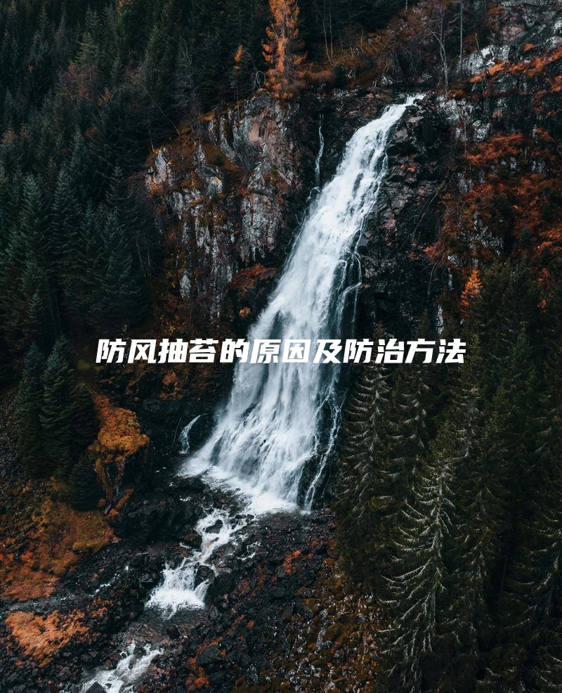 防风抽苔的原因及防治方法