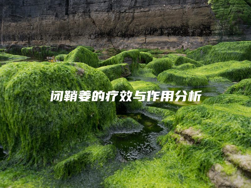 闭鞘姜的疗效与作用分析