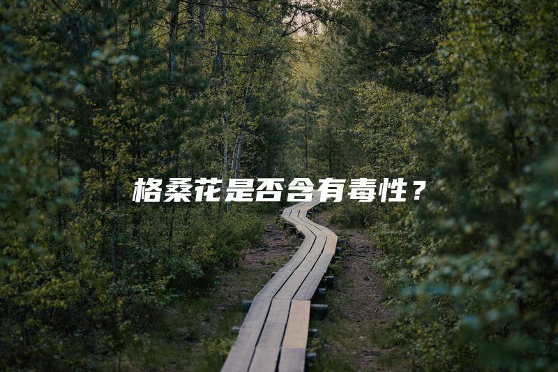 格桑花是否含有毒性？