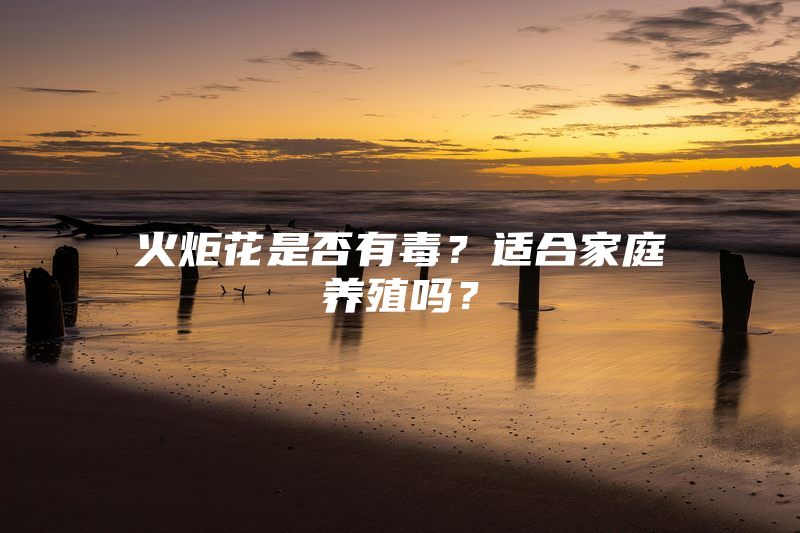 火炬花是否有毒？适合家庭养殖吗？