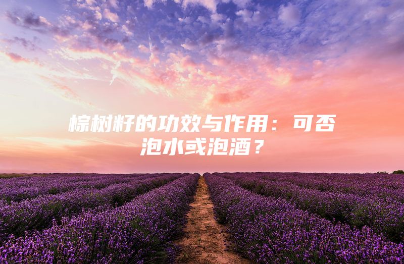 棕树籽的功效与作用：可否泡水或泡酒？