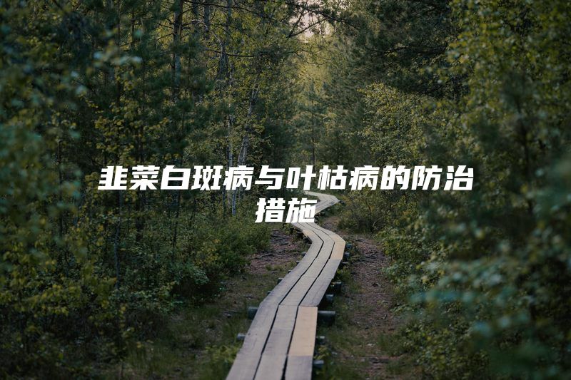 韭菜白斑病与叶枯病的防治措施