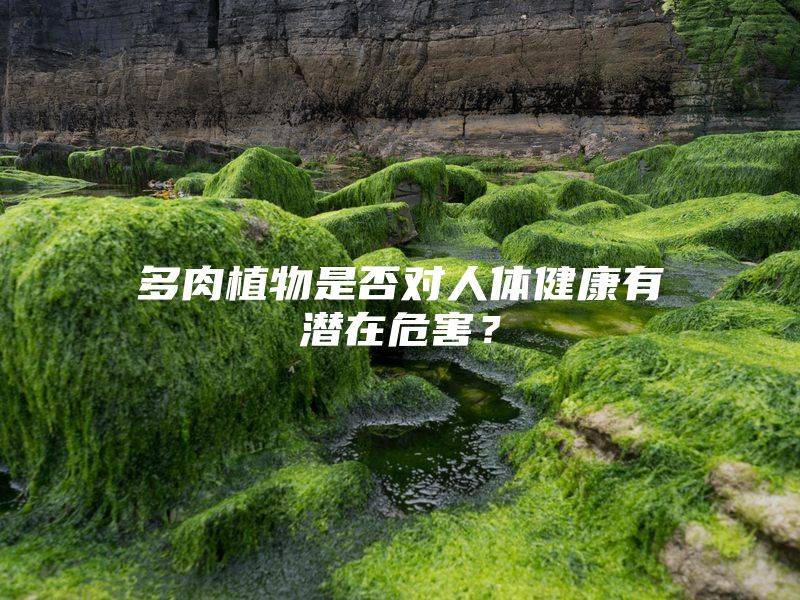 多肉植物是否对人体健康有潜在危害？