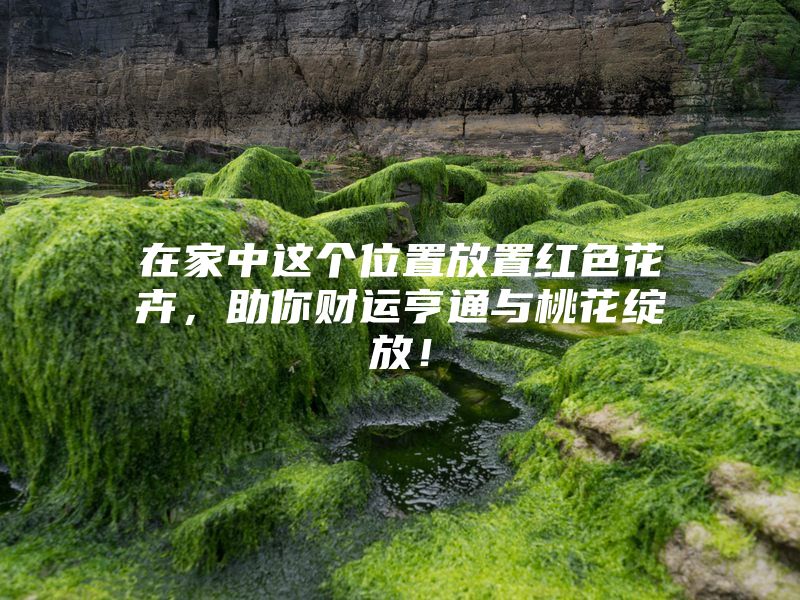 在家中这个位置放置红色花卉，助你财运亨通与桃花绽放！