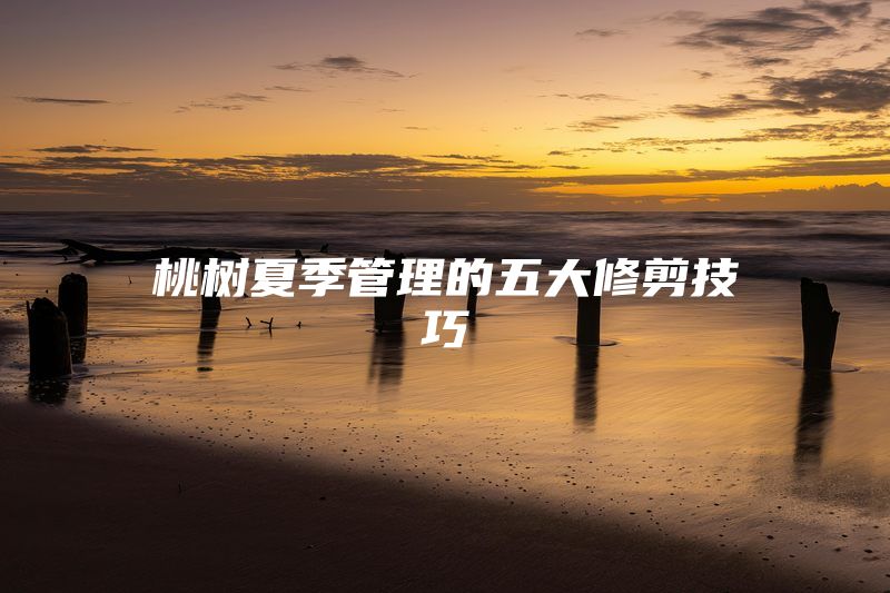 桃树夏季管理的五大修剪技巧