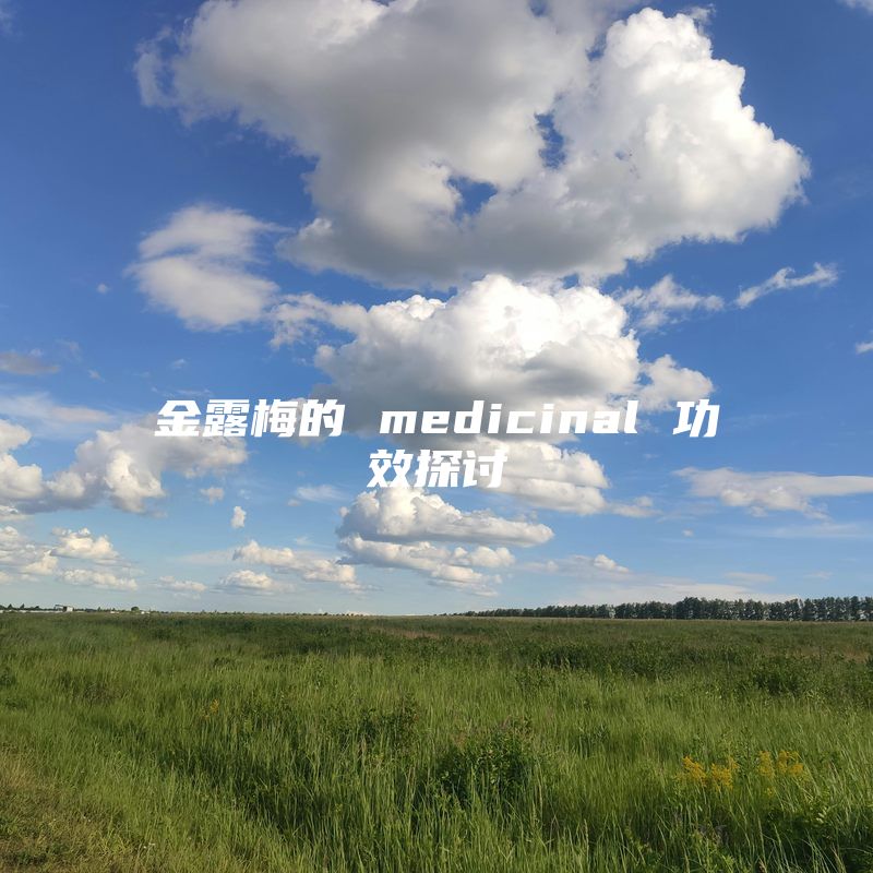 金露梅的 medicinal 功效探讨