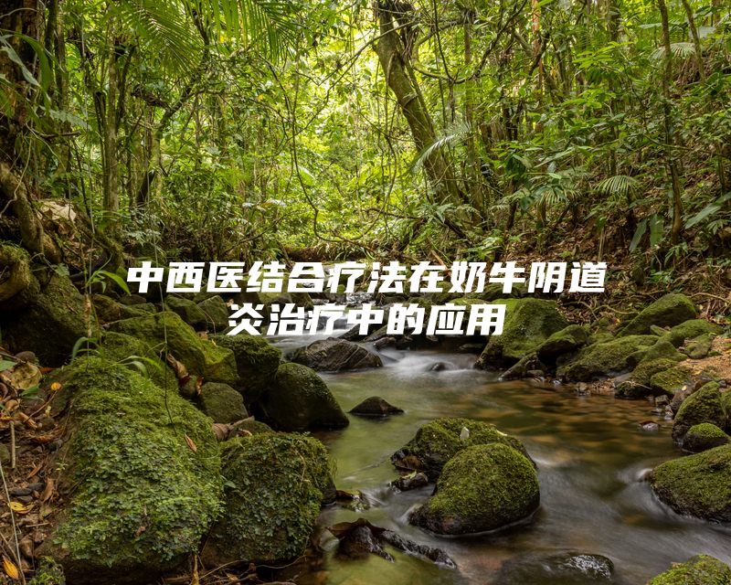 中西医结合疗法在奶牛阴道炎治疗中的应用