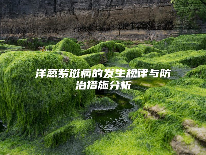 洋葱紫斑病的发生规律与防治措施分析