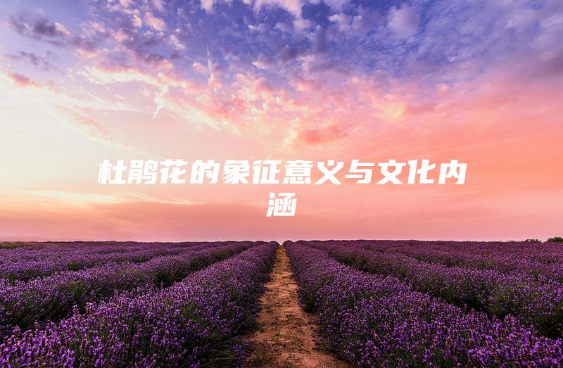 杜鹃花的象征意义与文化内涵