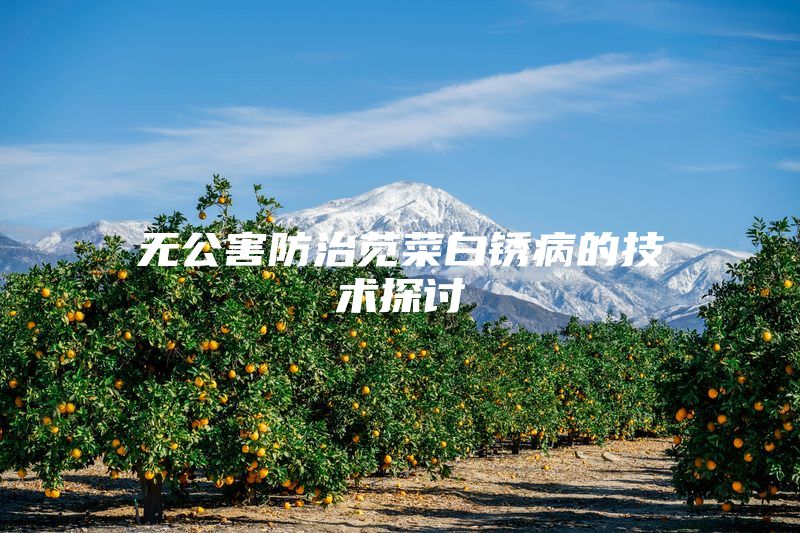 无公害防治苋菜白锈病的技术探讨