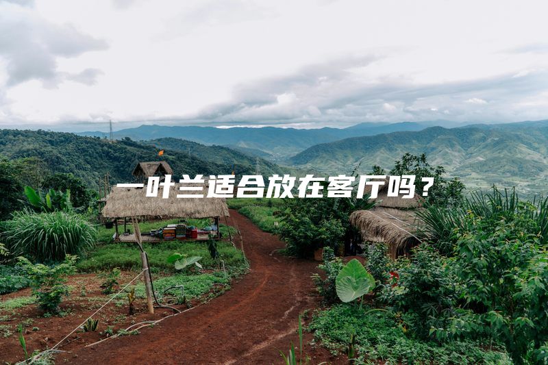 一叶兰适合放在客厅吗？