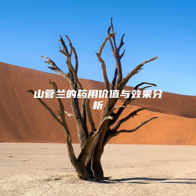 山菅兰的药用价值与效果分析