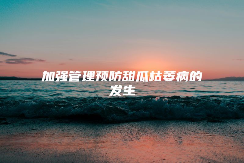 加强管理预防甜瓜枯萎病的发生