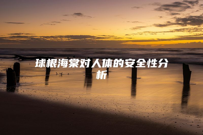 球根海棠对人体的安全性分析