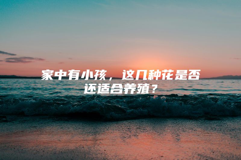 家中有小孩，这几种花是否还适合养殖？