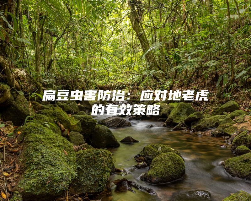 扁豆虫害防治：应对地老虎的有效策略