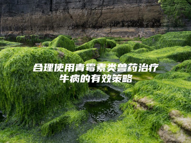 合理使用青霉素类兽药治疗牛病的有效策略