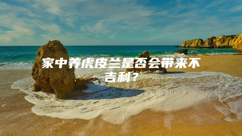 家中养虎皮兰是否会带来不吉利？