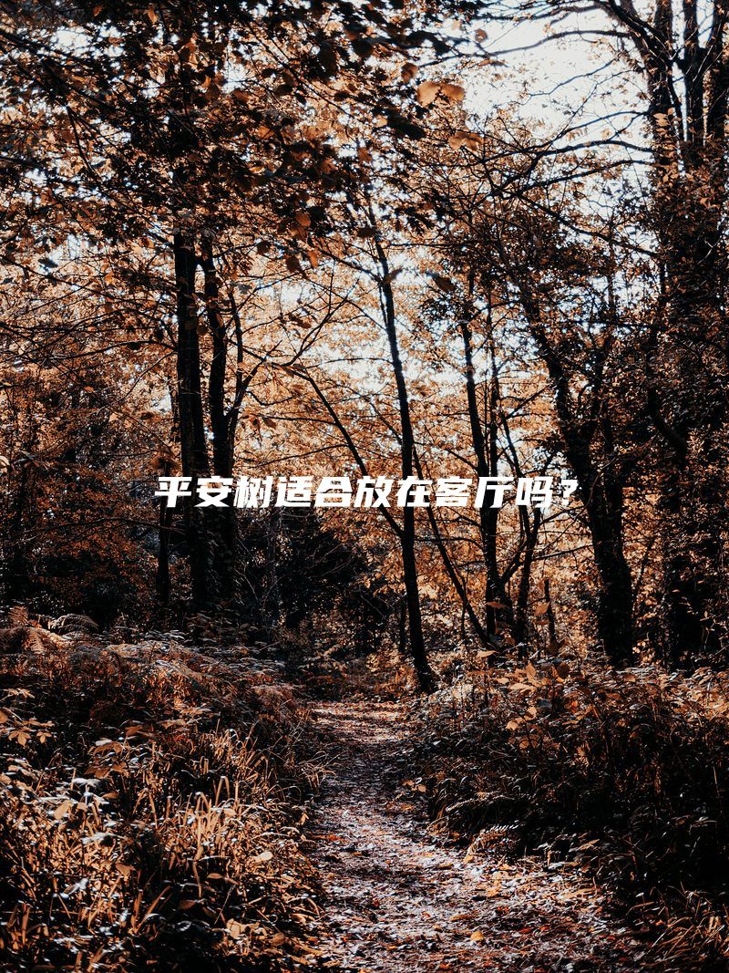 平安树适合放在客厅吗？