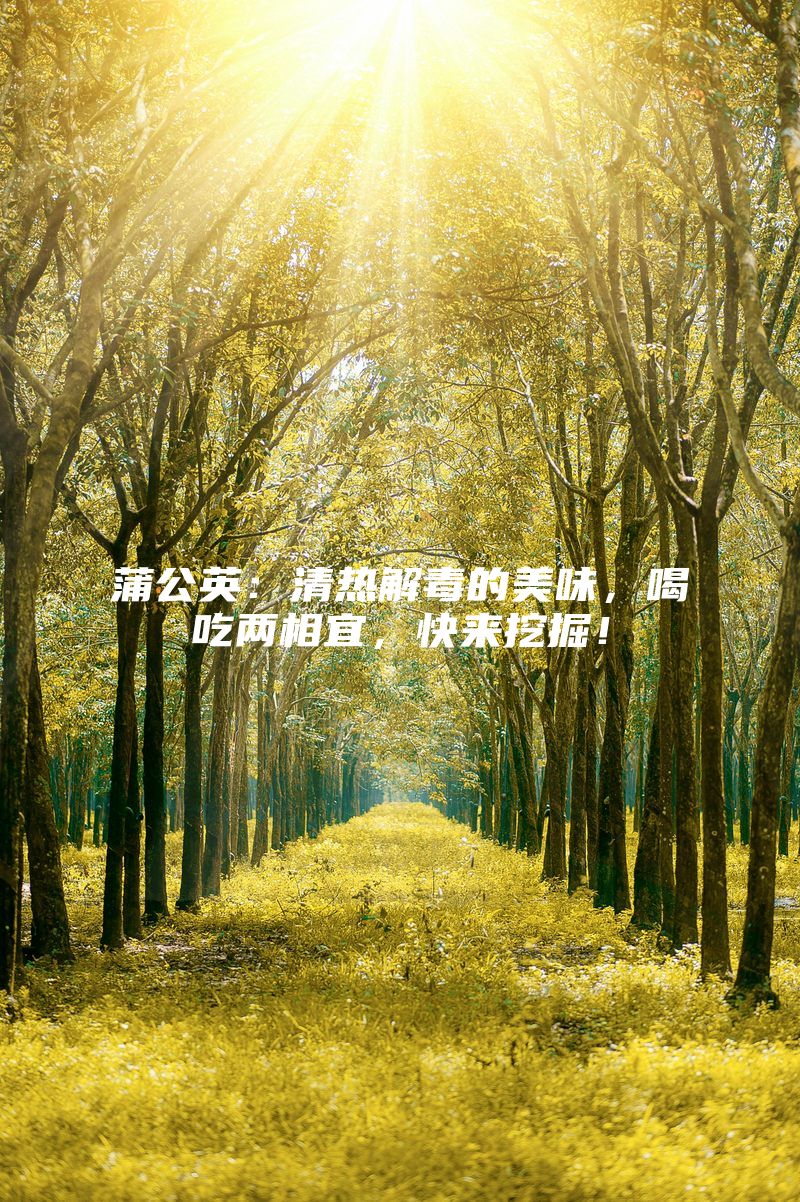 蒲公英：清热解毒的美味，喝吃两相宜，快来挖掘！